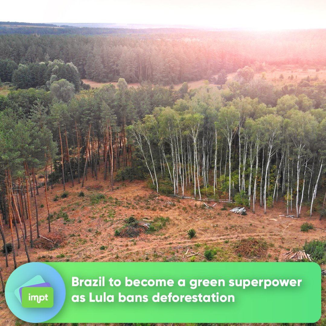 IMPT_token's tweet photo. Brazil's new President fulfills his promise to end deforestation in the Amazon. Catch the details on Euronews: https://t.co/ElKQinBztY
Explore more at https://t.co/p8FSGYmWvw 🍃
#AmazonConservation #DeforestationSolution #GreenBrazil https://t.co/DDzGXLLRe1