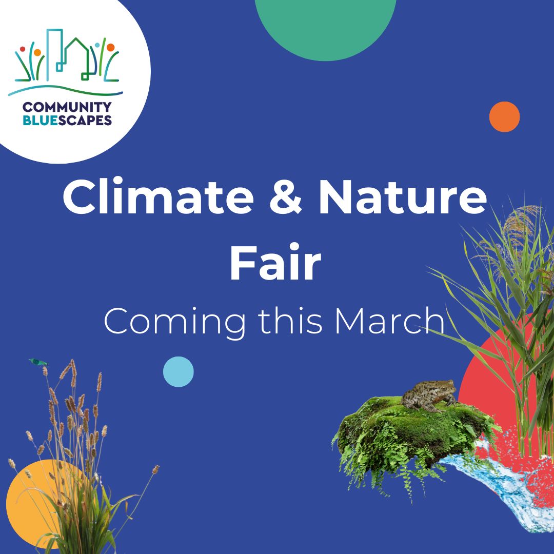 Come and join us at Lowther Primary School for our Climate & Nature Fair. It's on the 23rd of March from 11am - 3pm. More details coming soon!