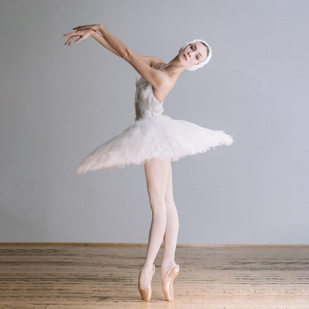 Putrov Productions tweet media