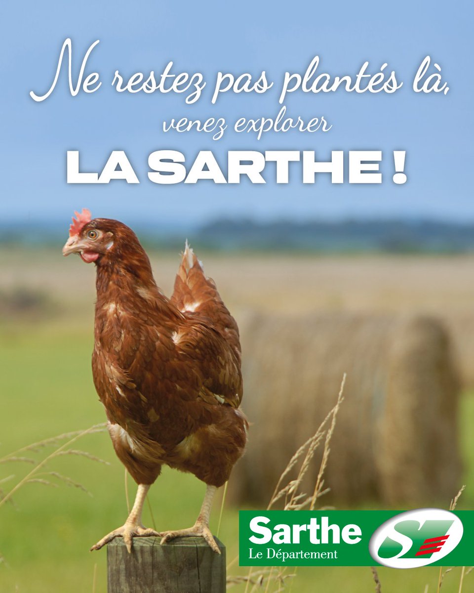 lasarthe_72's tweet photo. 🐷🐮 Retrouvez le Département de la Sarthe au @Salondelagri ! 

Jusqu'au 27 février, le Département sera présent sur l'espace de la Région des Pays de la Loire (hall 1, stand H105).  
#SIA2024 https://t.co/sKcOaWhnmb