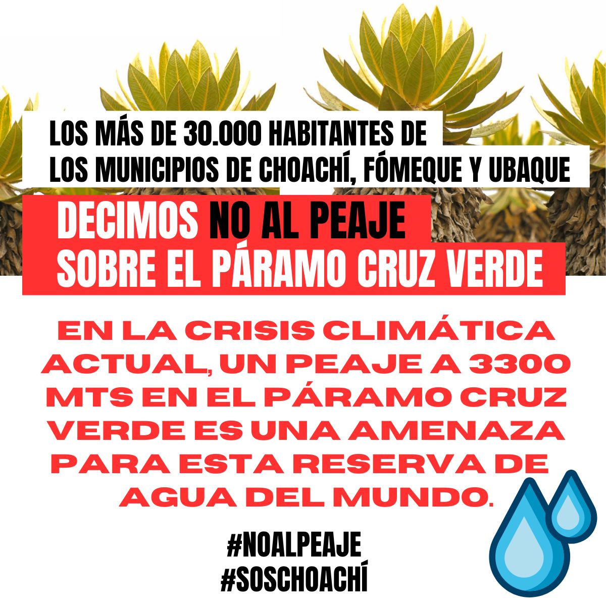 Los más de 30.000 habitantes de los municipios de Choachí, Fómeque y Ubaque NOS OPONEMOS ROTUNDAMENTE a la instalación del peaje en el páramo Cruz Verde, vía Bogotá - Choachí. #NoAlPeaje #SOSChoachí <a href="/ANI_Colombia/">Agencia Nacional de Infraestructura</a> <a href="/PerimetralOB/">Perimetral Oriental de Bogotá</a> <a href="/MinTransporteCo/">MinTransporte</a> <a href="/MinAmbienteCo/">MinAmbiente Colombia</a> <a href="/UltimaHoraCR/">ÚltimaHoraCaracol</a>