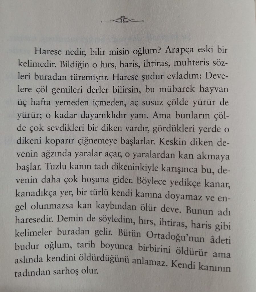 ardakalfaoglu's tweet photo. https://t.co/8JRG4WKUmt