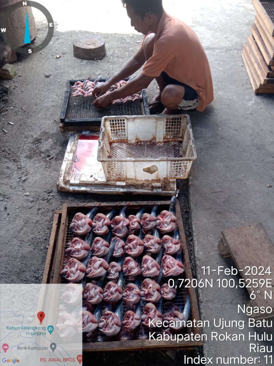AndesThp06's tweet photo. Minggu (11/2) M. Andesba Arifin, Luhkan Rokan Hulu, melaporkan produksi ikan Salai lele Poklahsar Tunas Usaha Gemilang, Ds Sukadamai bln Februari 2024 sebesar 60 kg, harga jual 75000/kg #GiatLuhkanSatminkalMedan #Rohul #Produksi @bpppmedan_brsdm,@puslatluhkp,@bppsdm_kp https://t.co/cUpktdF9Ck