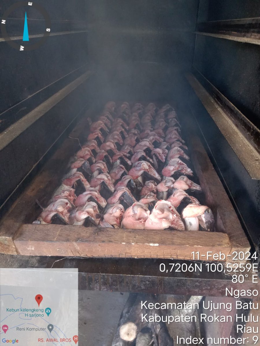 AndesThp06's tweet photo. Minggu (11/2) M. Andesba Arifin, Luhkan Rokan Hulu, melaporkan produksi ikan Salai lele Poklahsar Tunas Usaha Gemilang, Ds Sukadamai bln Februari 2024 sebesar 60 kg, harga jual 75000/kg #GiatLuhkanSatminkalMedan #Rohul #Produksi @bpppmedan_brsdm,@puslatluhkp,@bppsdm_kp https://t.co/cUpktdF9Ck
