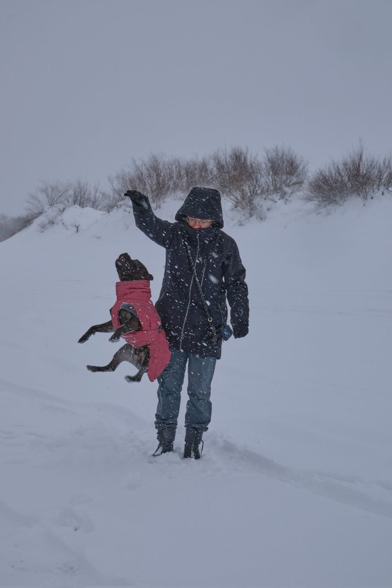 Ray_Wen's tweet photo. @bardulya #догпиковая_пятница #dogpick https://t.co/IeV2v9QnAK