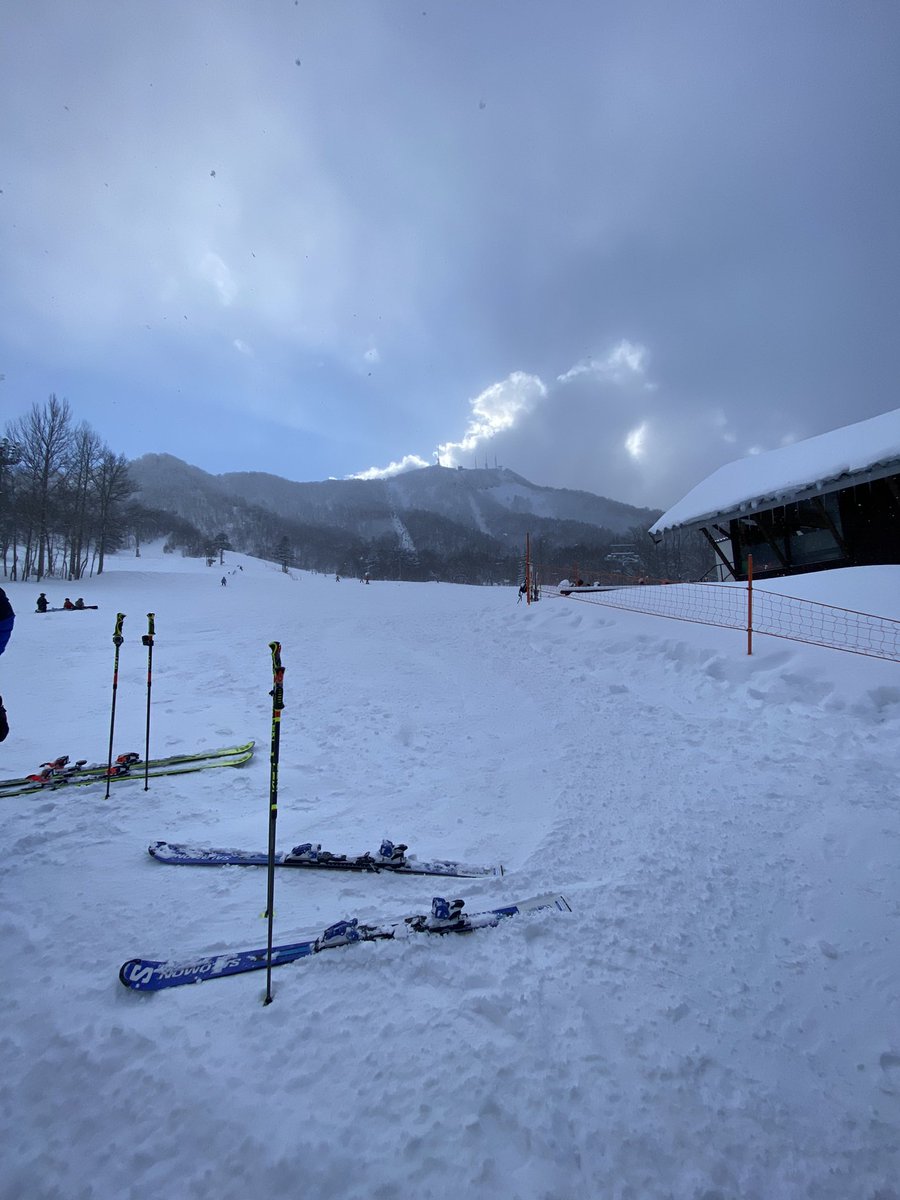 jzzz31's tweet photo. 初北海道スキートリップ🎿
サッポロテイネスキー場、最高でした😊
上部ハイランドコース午後からパウダー❄️おかわり自由でした！ https://t.co/uxphok4yP2