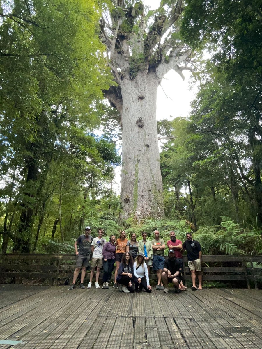 Dr. Erica Smithwick (@ericasmithwick) on Twitter photo Standing with giants (in this case, a Kauri tree >1800 years old) in Aotearoa New Zealand <a href="/PSUresearch/">Penn State Research</a> <a href="/PSUEarth/">Penn State EESI</a> <a href="/PSUEMS/">College of EMS</a> <a href="/psugeography/">Penn State Geography</a> @sustainPSU <a href="/PennStateGlobal/">Penn State Global</a> Standing with giants (in this case, a Kauri tree >1800 years old) in Aotearoa New Zealand <a href="/PSUresearch/">Penn State Research</a> <a href="/PSUEarth/">Penn State EESI</a> <a href="/PSUEMS/">College of EMS</a> <a href="/psugeography/">Penn State Geography</a> @sustainPSU <a href="/PennStateGlobal/">Penn State Global</a>