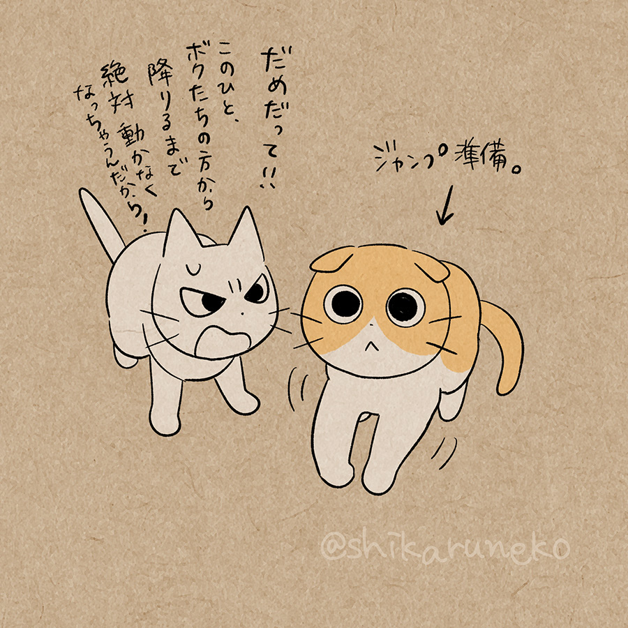 座りっぱなしの人と、ながめるねこと、しかるねこ