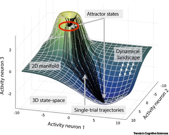 Thalía Fung Goizueta tweet media