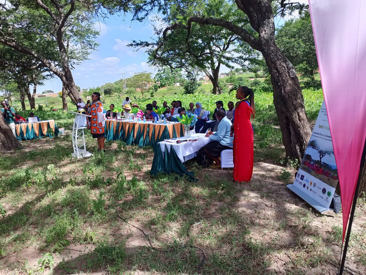 Nareto Latia Indigenous Peoples' Program (@naretolatia) on Twitter photo court users committee engagement with communities to streamline the legal justice system and access to justice. The Enkorika meeting up is a milestone for Kajiado county in ending all form of gender based violence. <a href="/naretolatia/">Nareto Latia Indigenous Peoples' Program</a> is a member of the county thematic group on #GBV . court users committee engagement with communities to streamline the legal justice system and access to justice. The Enkorika meeting up is a milestone for Kajiado county in ending all form of gender based violence. <a href="/naretolatia/">Nareto Latia Indigenous Peoples' Program</a> is a member of the county thematic group on #GBV .