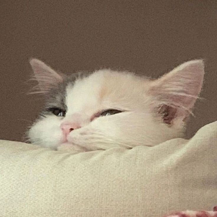 ita (@tthewberry) on Twitter photo 