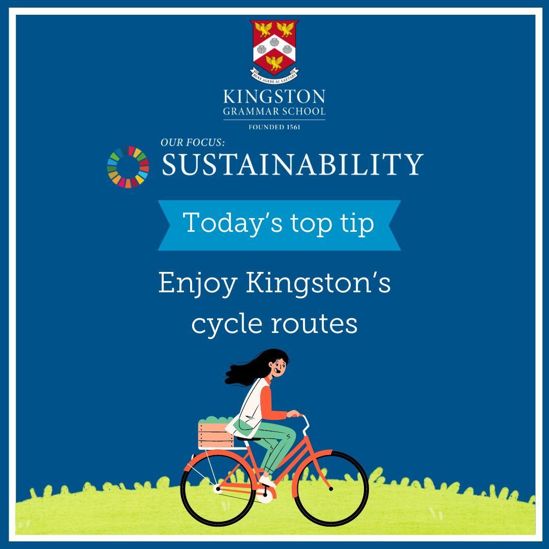 The Kindness Council tweet media