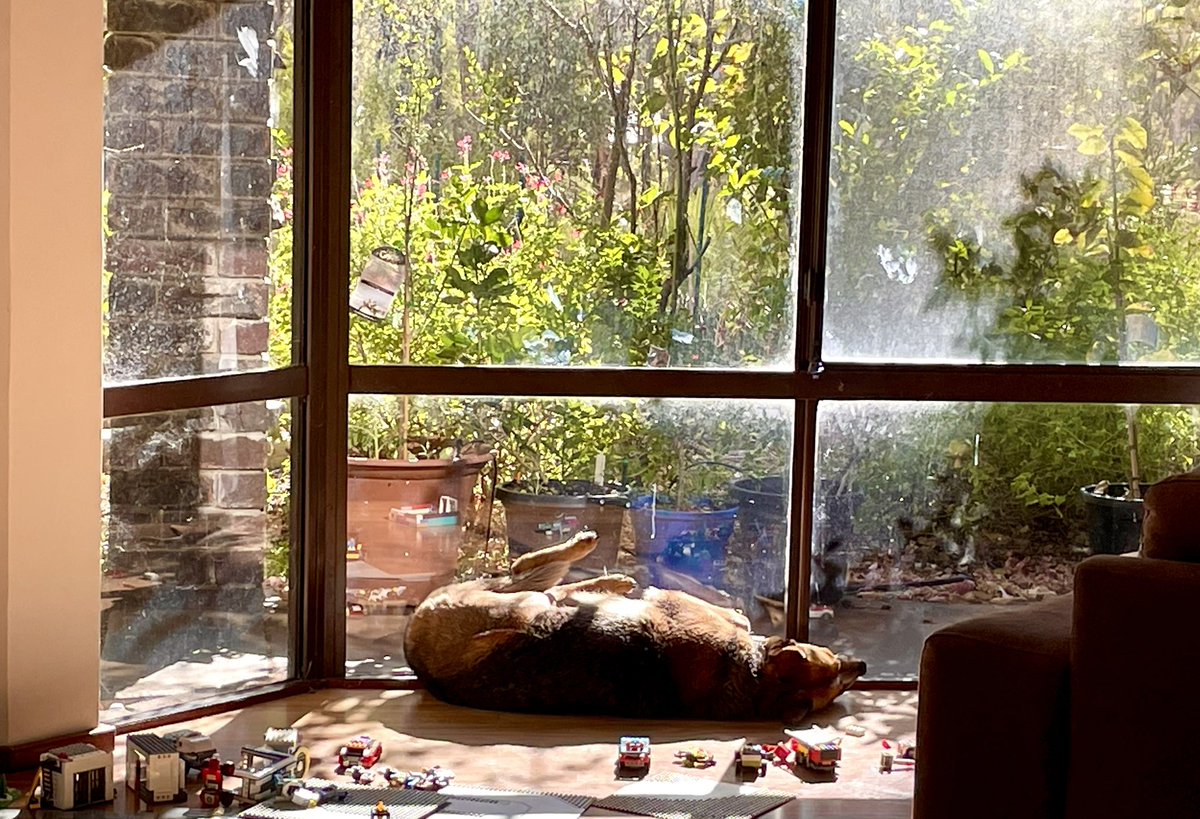 DrBelbird's tweet image. Mala is using solar energy to recharge the #bluedog battery