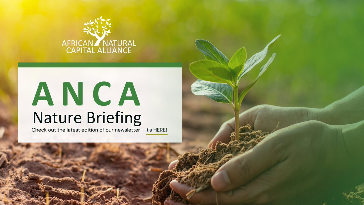 We're excited to share the second edition of our newsletter, packed with impactful updates and initiatives showcasing our commitment to a unified African voice on the global nature agenda. Explore the range of impactful updates and initiatives that are shaping a sustainable…