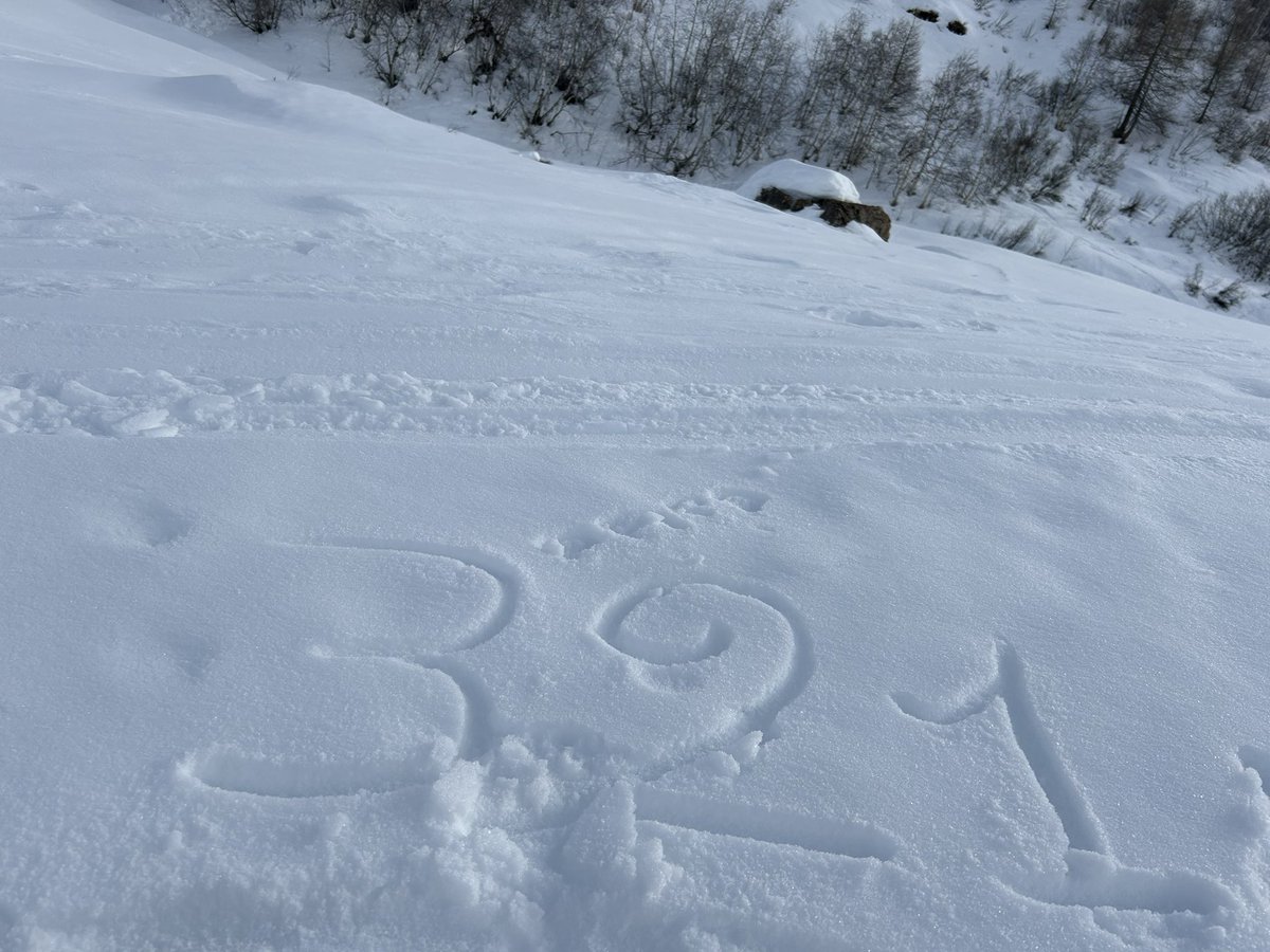 Patrick Amiel tweet media