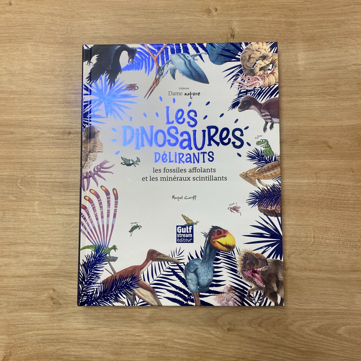 La planète Terre 🌍 cache de véritables trésors. Et parfois, il te suffit juste de jeter un oeil sur le sol pour les découvrir ;)

Dinosaures, fossiles et minéraux vous donnent rendez-vous en librairie le 22 février !

🦕gulfstream.fr/produit/collec…