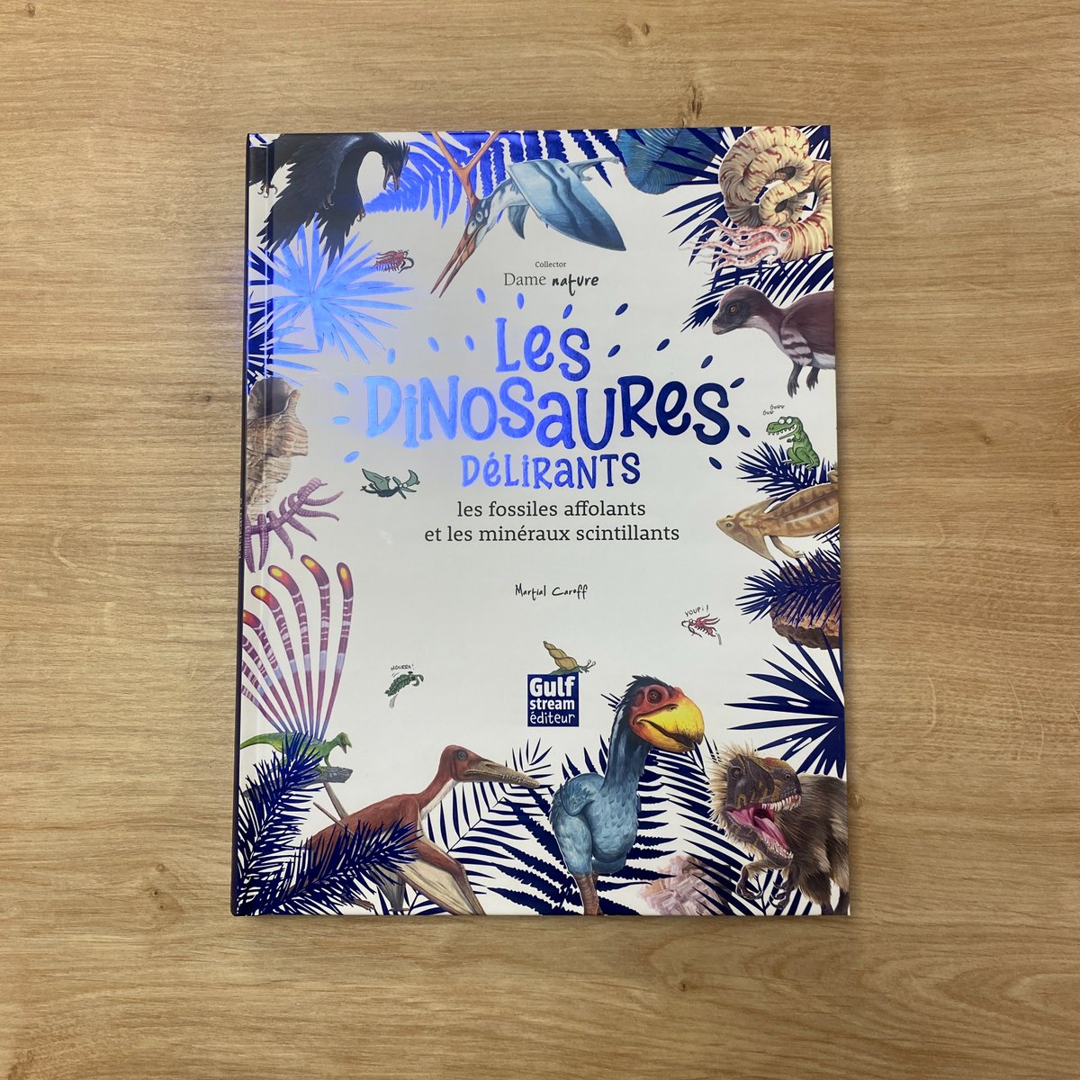 La planète Terre 🌍 cache de véritables trésors. Et parfois, il te suffit juste de jeter un oeil sur le sol pour les découvrir ;) Dinosaures, fossiles et minéraux vous donnent rendez-vous en librairie le 22 février ! 🦕gulfstream.fr/produit/collec…