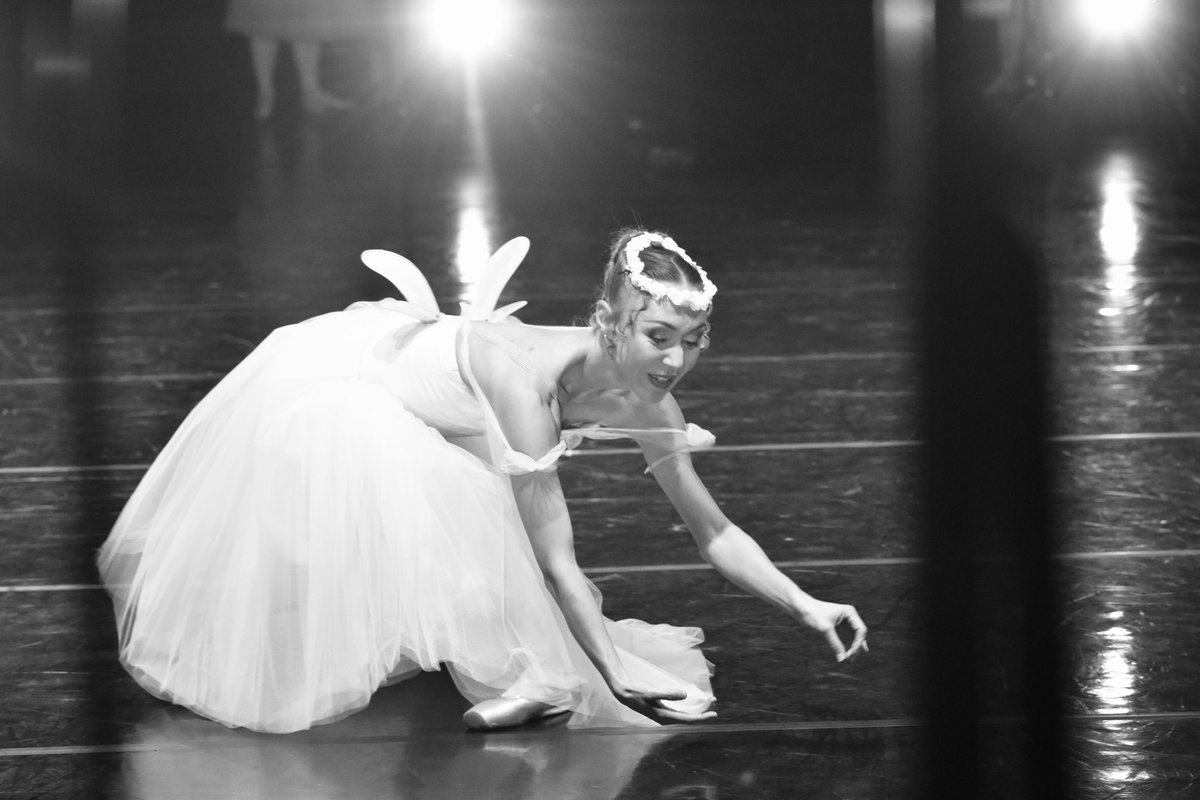 balletducapitole.dancers tweet media