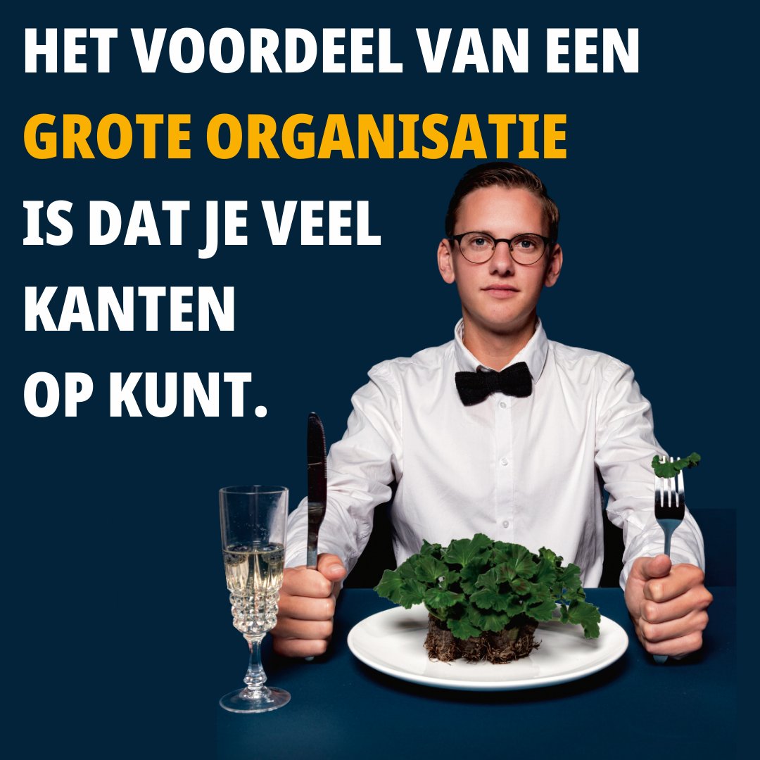 Syngenta Benelux tweet media