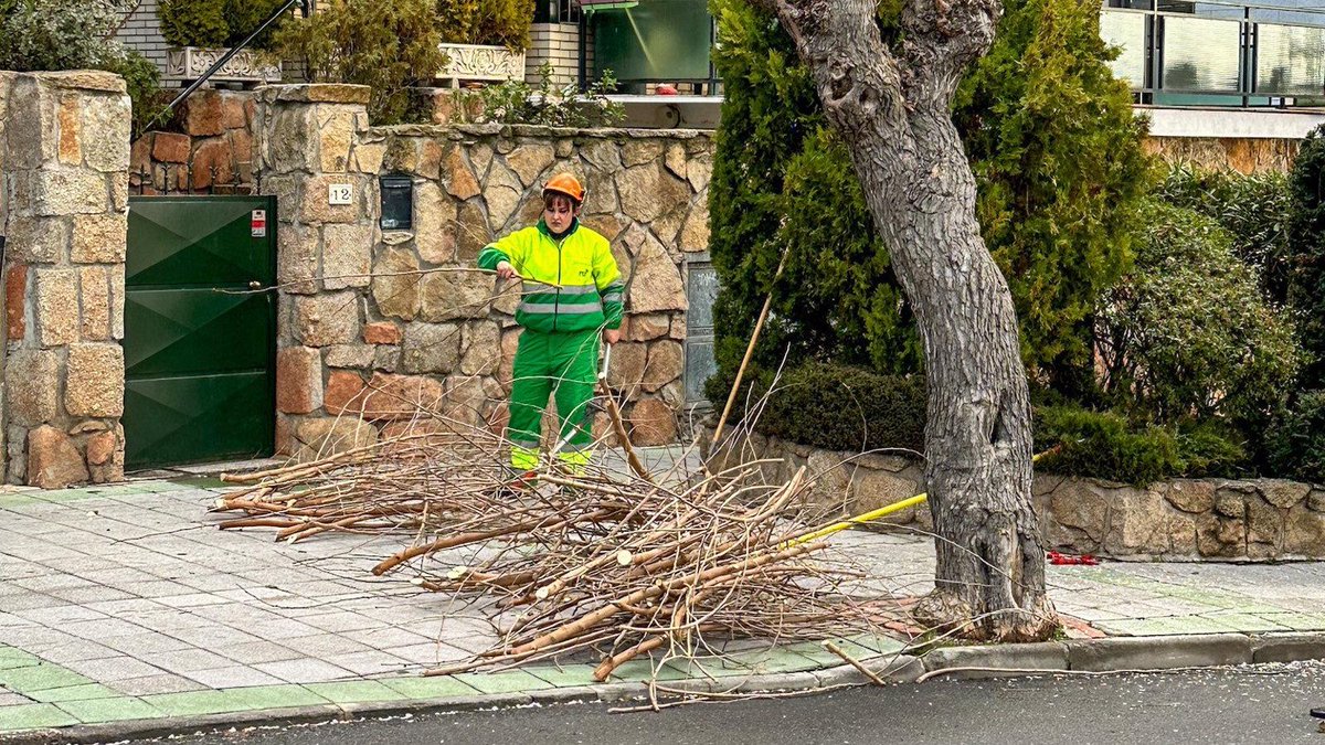 Galapagar intensifican los trabajos de poda y cuidado de las zonas verdes bit.ly/4bCmqjZ