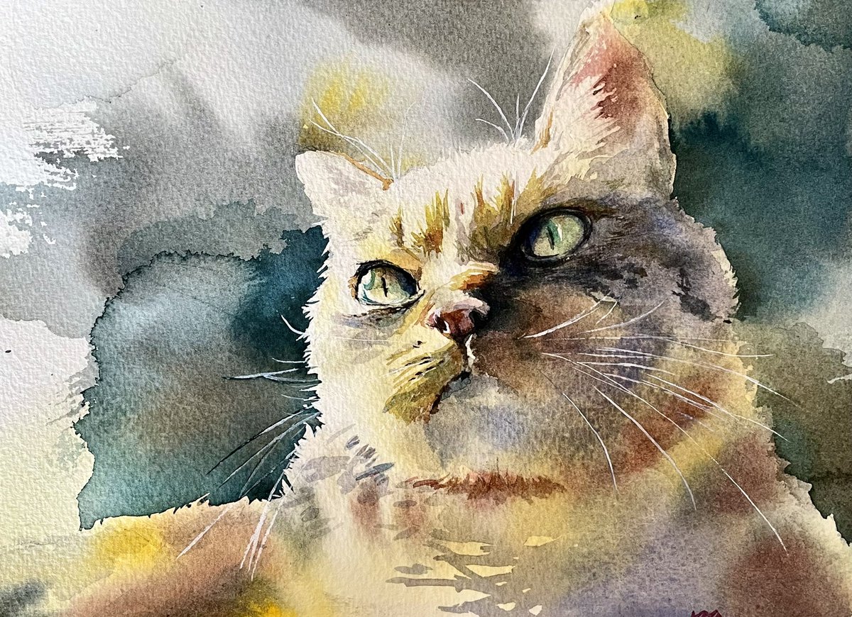 shibAKAKA's tweet photo. 眼差し

#猫の絵　#水彩画　#watercolor https://t.co/5cWEHRinOa