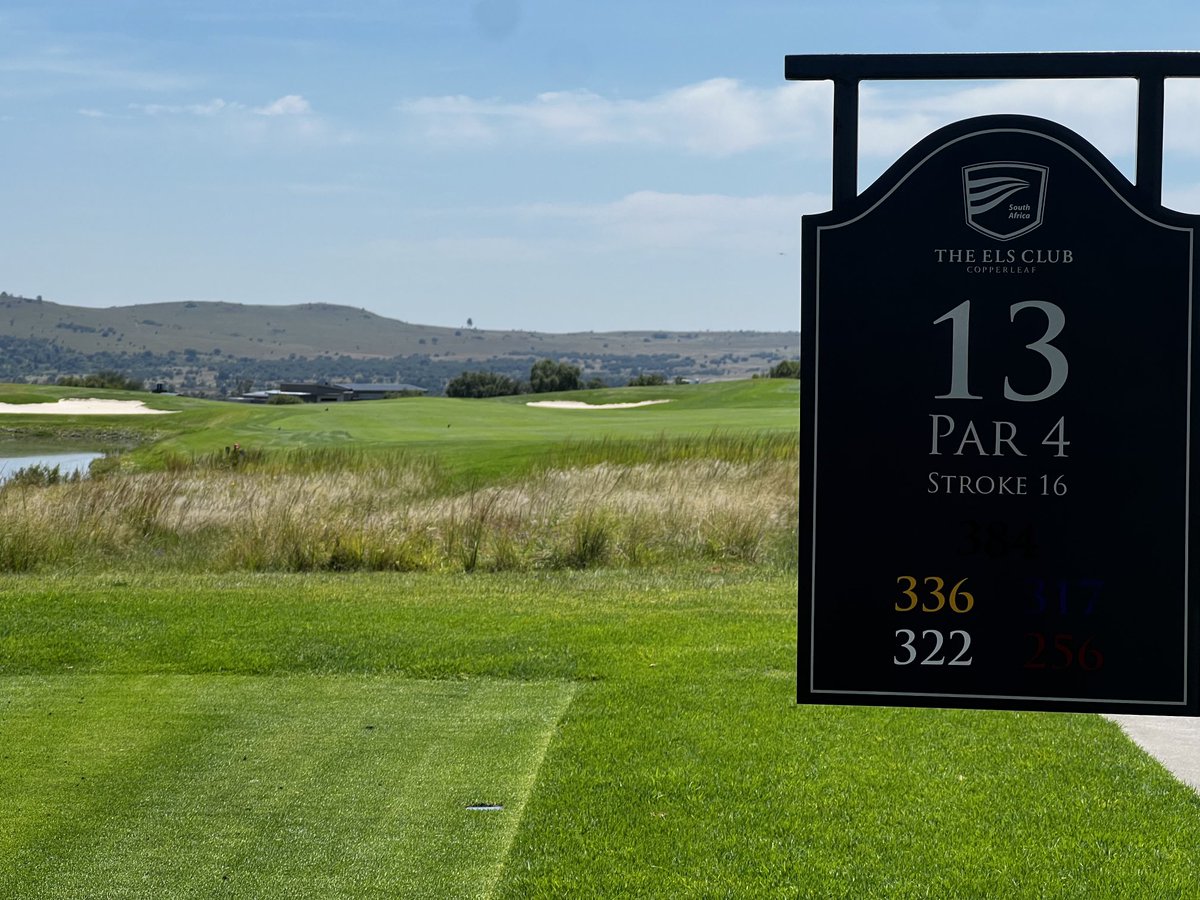 OscarTshifure's tweet image. ⁦@TheElsClubSA⁩ #Copperleaf what a beaut…