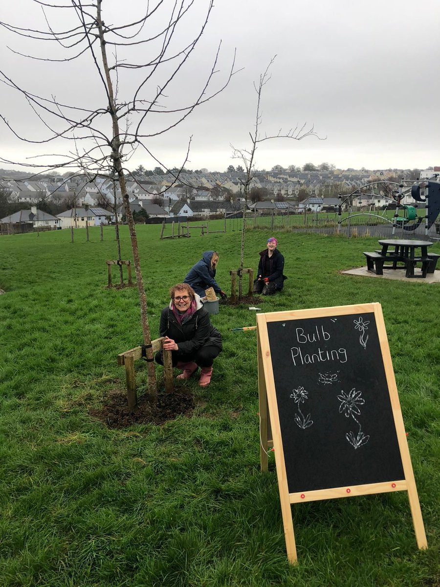 Rain or shine🌦️ ...Our Green Communities team has been out &this week, planting bulbs in Keyham alongside the local community. We're excited to see these bulbs bloom, providing a burst of colour for passers by & some tasty nectar for insects🌱 #GreenCommunitiesPlymouth @KeyhamNhw