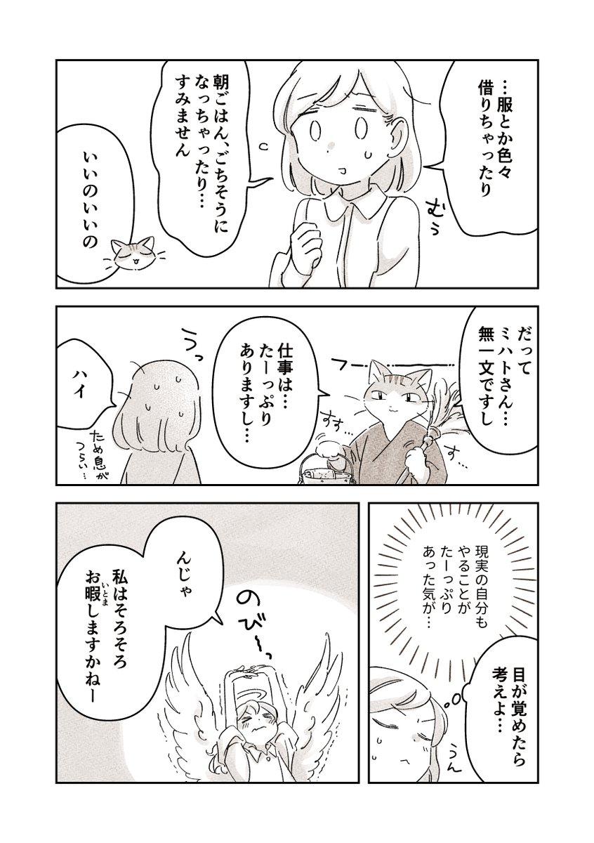 (2/6)