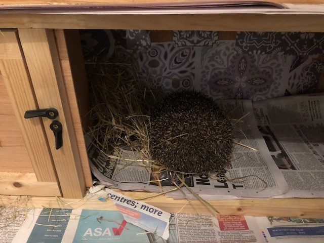 Naylor Industries tweet media