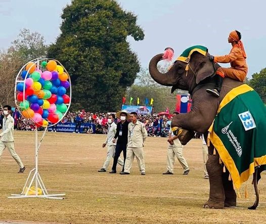 CitysFElephants's tweet photo. 6. #ElephantFestival should celebrate conservation efforts, the family values &amp; intelligence of 🐘🐘 &amp; seek to promote co-existence with elephants through education. Instead the ghastly event has become a cheap circus! #ບຸນຊ້າງ #Laos 🇱🇦 @Laotiantimes https://t.co/HBFROv5Glu