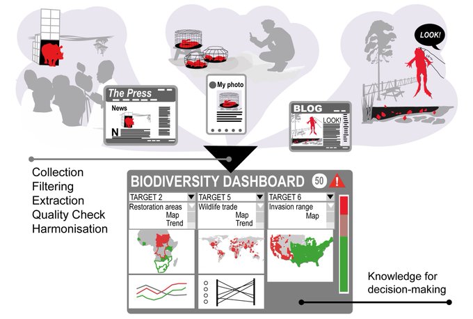 On using online #digitaldata in #biodiversity #monitoring - a new study led by @SorianoRedondo now out in @PLOSBiology journals.plos.org/plosbiology/ar… #environment #threatenedspecies #endangeredspecies #conservation #nature #wildlife #bigdata #socialmedia