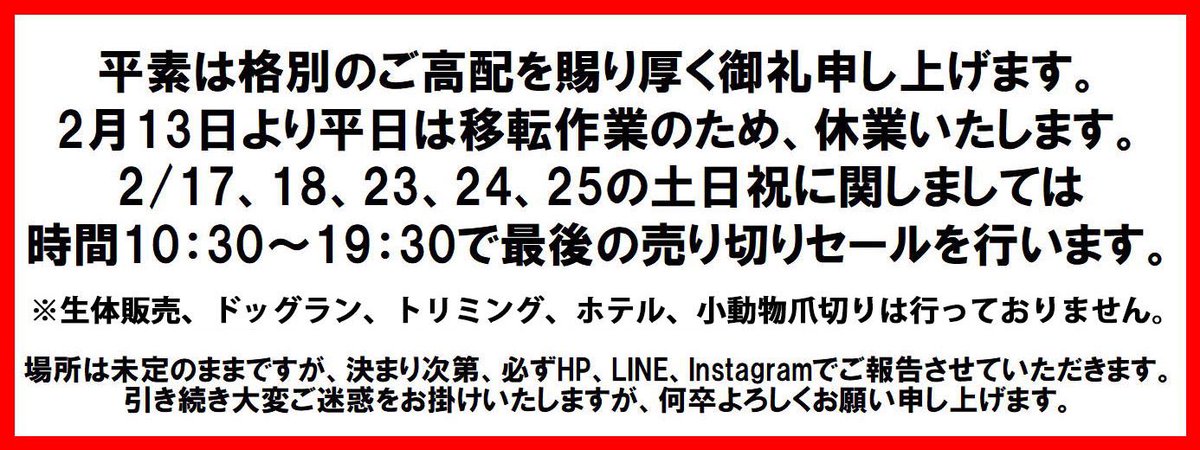 PLUXE6's tweet photo. 店舗移転の為、平日は休業中ですが、2/17、18、23、24、25の土日祝は
時間10：30～19：30で最後の売り切りセールを行います‼️

なんと、アクア・爬虫類・昆虫・小動物用品、観葉植物が70%OFF😳‼️
アウトレット商品もさらにプライスダウン‼️
在庫限りです‼️

※生体販売、爪切り等は行っておりません。 https://t.co/M4NStfx7Rx