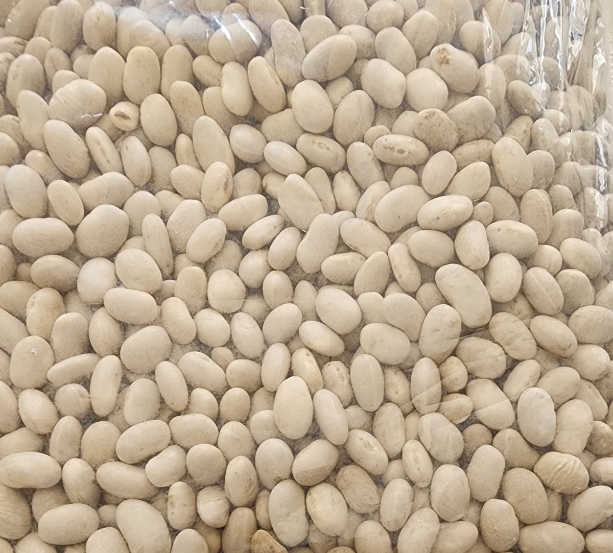 Quincy_Kuda's tweet photo. If you can or know someone who can supply Michigan/Navy Bean in Zimbabwe as of next week please DM. I really m in need of this white bean (30tons on a weekly basis). https://t.co/ivxnHiOuzM