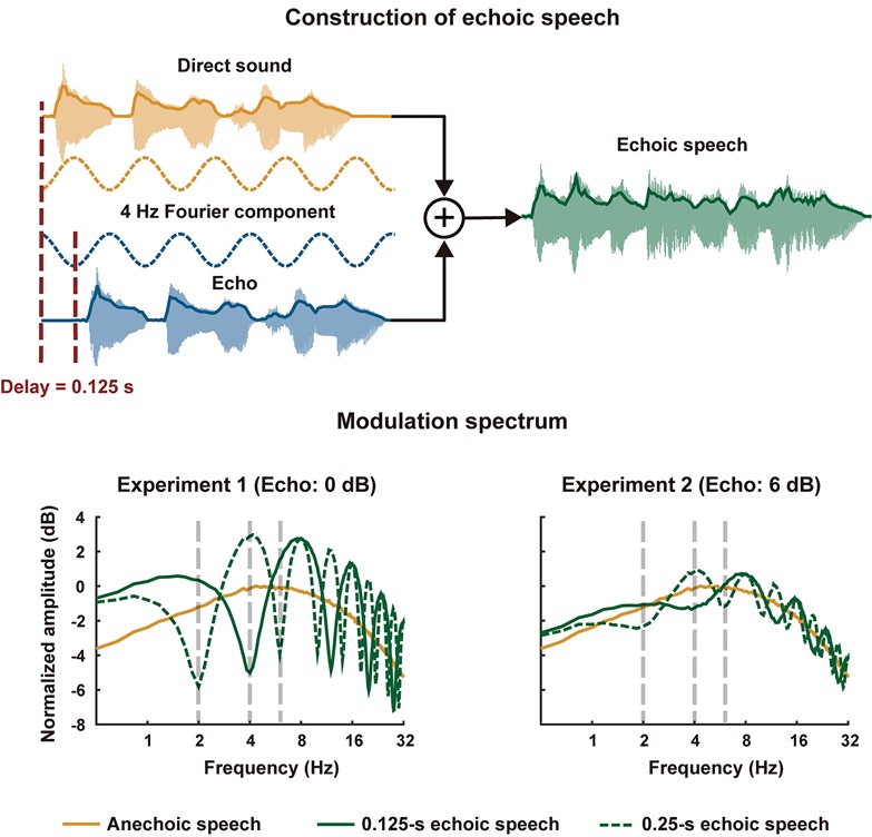 PLOSBiology's tweet photo. How do we understand speech-eech-eech in the presence of an #echo-o-o? This study of the robustness of human #SpeechPerception in echoic environments, showing that speech & its echo are processed separately in the brain to help intelligibility #PLOSBiology https://t.co/b5q4xErsxA https://t.co/rXIYhkRD7B