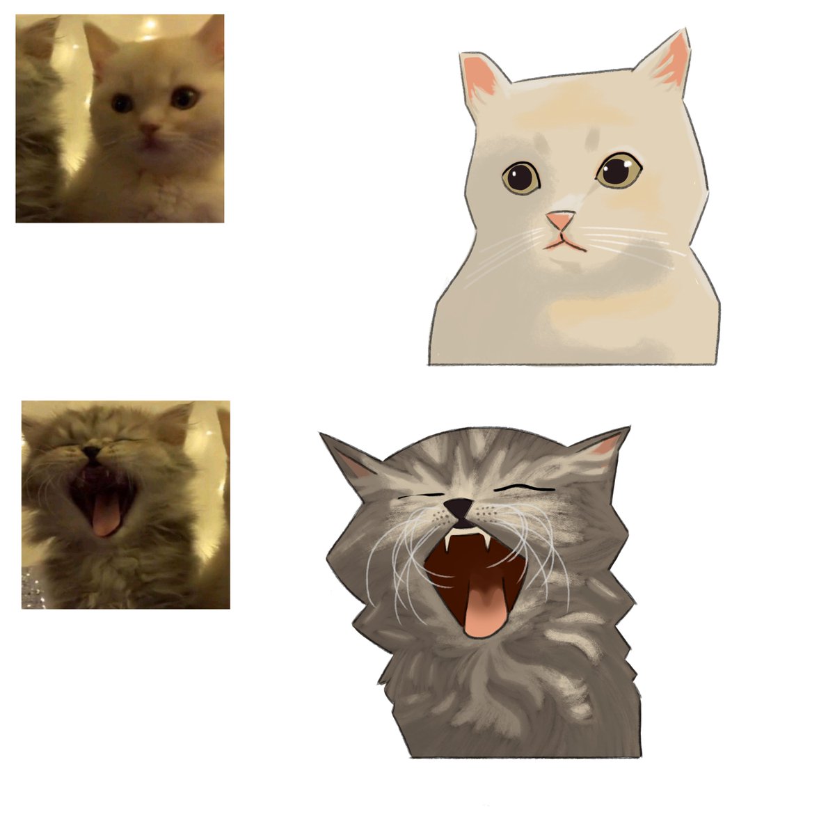 mara 👽 tweet media