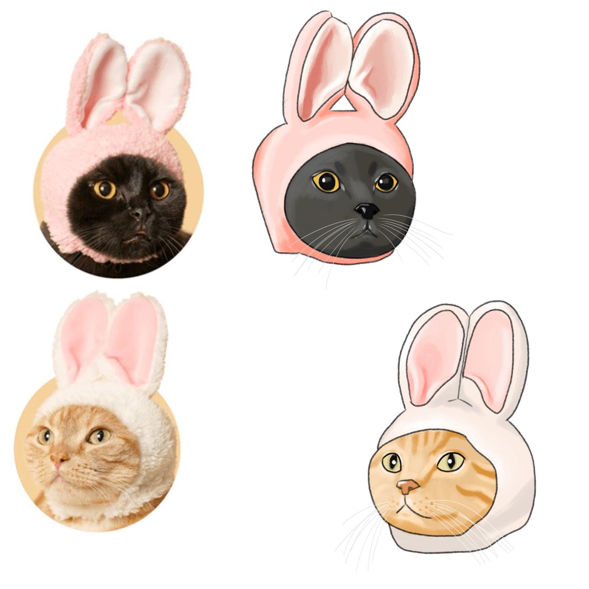 mara 👽 tweet media