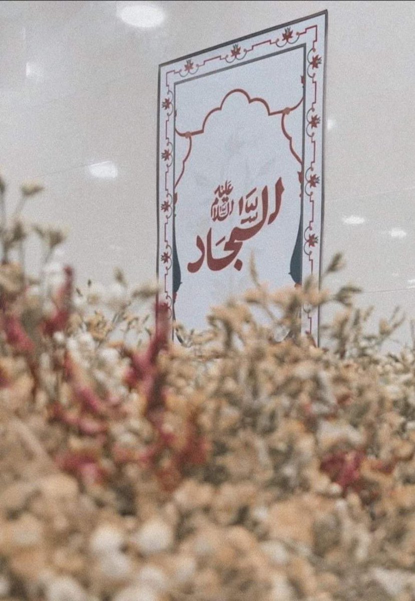 هَذا ٱبنُ خَيرِ عِبادِ اللَّهِ كُلِّهِمُ
هَذا التَّقِيُّ النَّقِيُّ الطَّاهِرُ العَلَمُ 

عَلي السَّجاد 🤍
#متباركين