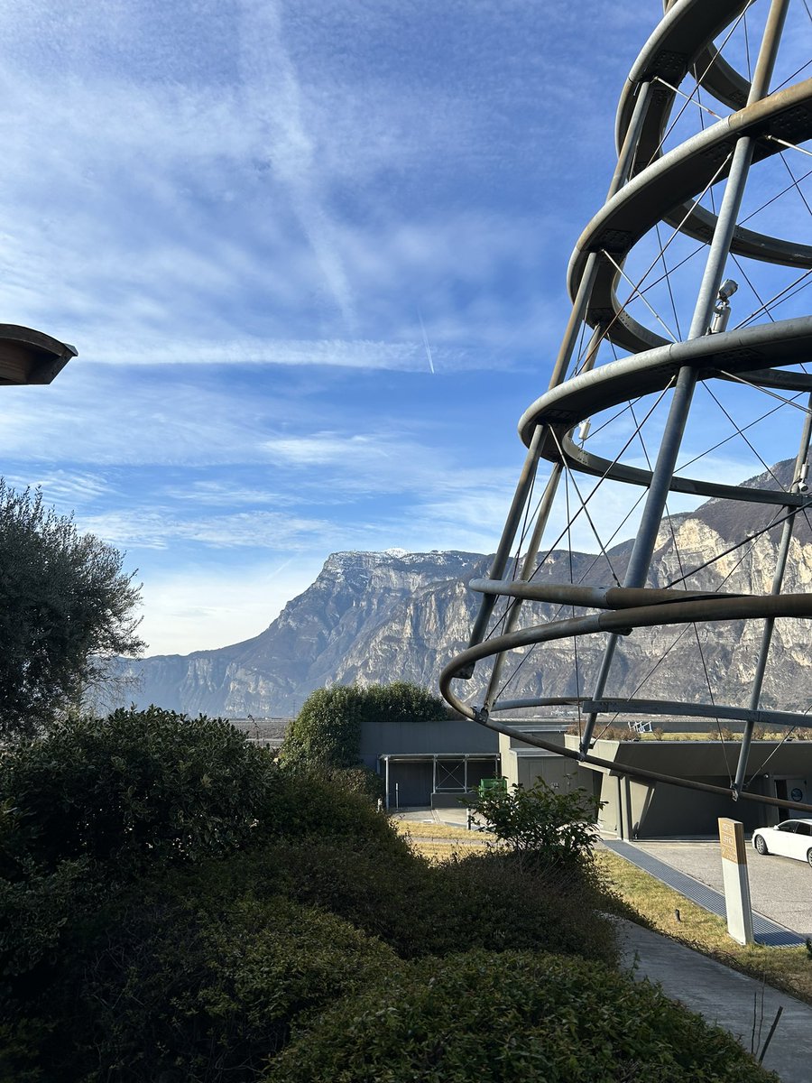 Andrea Fronk tweet media