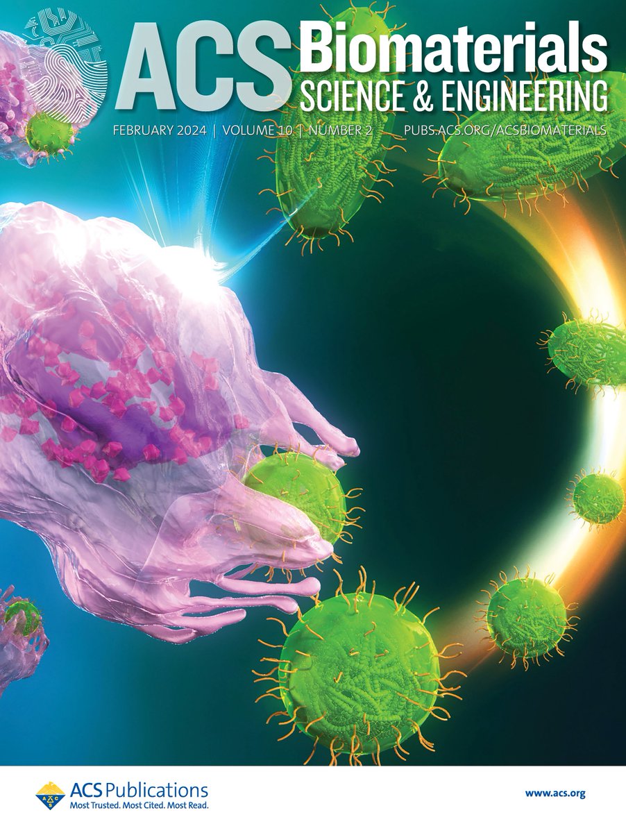 Preparation of Degradable and Transformable Core–Corona-Type Particles that Control Cellular Uptake by Thermal Shape Change pubs.acs.org/doi/10.1021/ac… @ACSBiomaterials