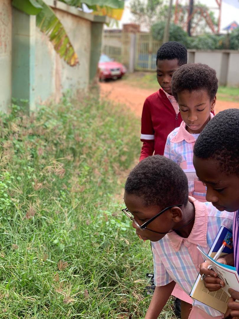 See the excitement as we took a walk around our school compound and community to observe all the animals we could see. So that we can group them according to their similarities and differences.