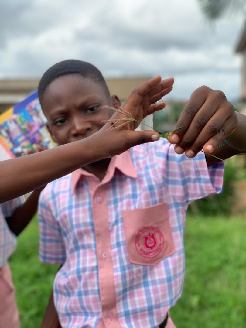 prac_sciencelab's tweet photo. See the excitement as we took a walk around our school compound and community to observe all the animals we could see. So that we can group them according to their similarities and differences. https://t.co/uzZqh36ZzO