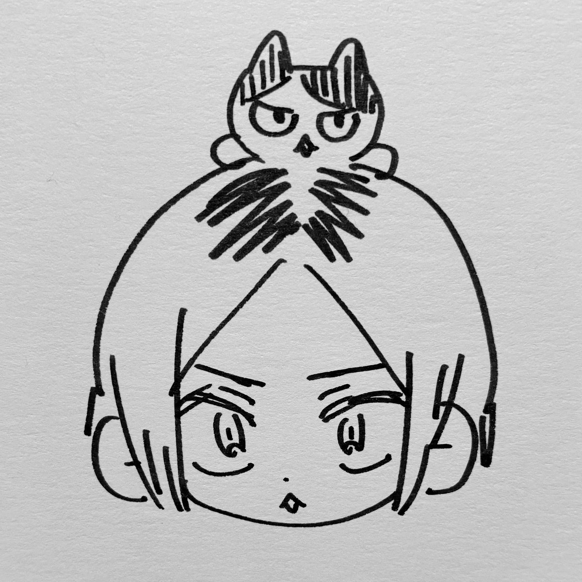 新しいマーカー買ったので🏐らくがき!
わたしと姉の推しまぜこぜ
#イラスト #illustration 