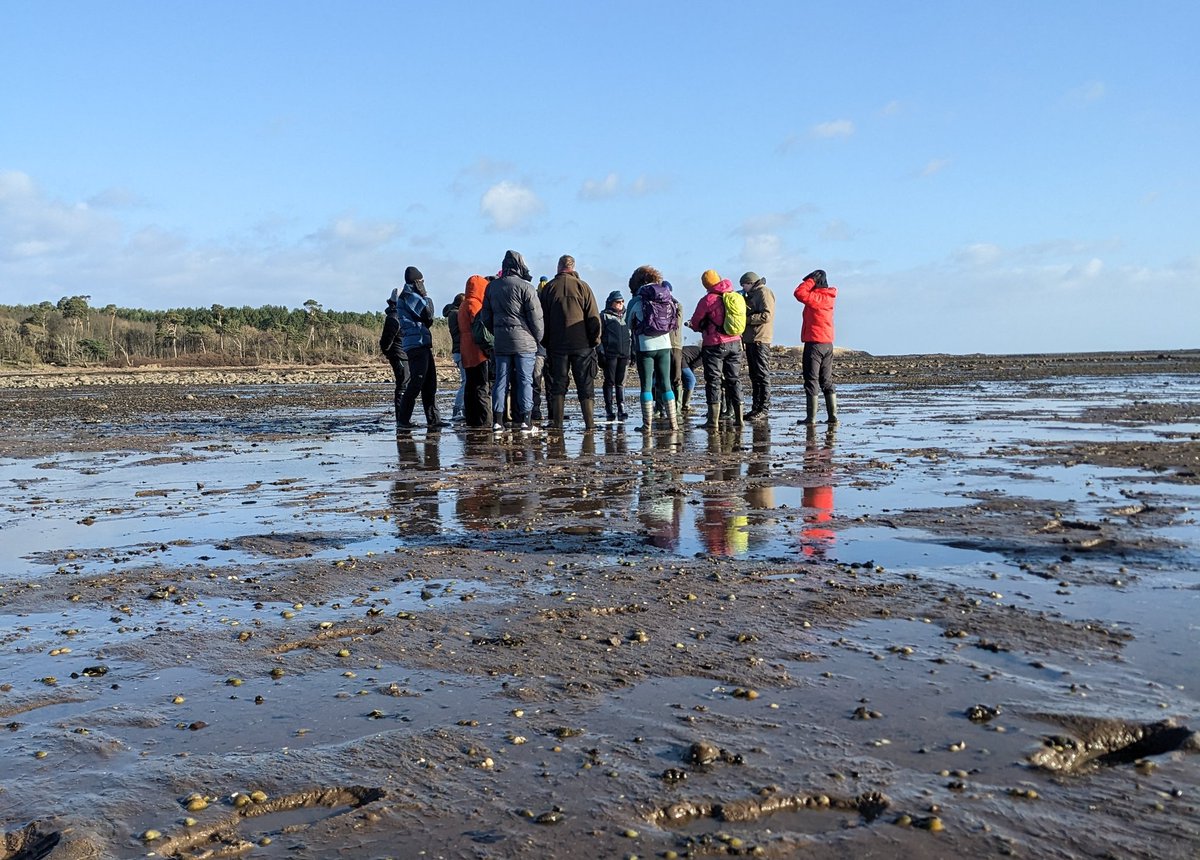 Citizen science workshops for #RestorationForth! Come along to hear the project's restoration updates & how you can get involved in upcoming oyster restoration & citizen science 🦪 events held at Musselburgh & Tyninghame, sign up 👉 eventbrite.com/cc/restoration…