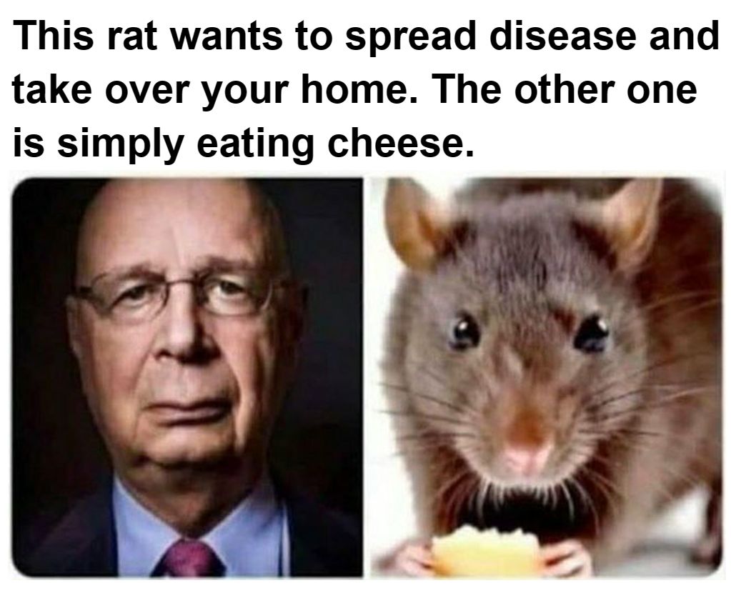 redpillbot tweet media