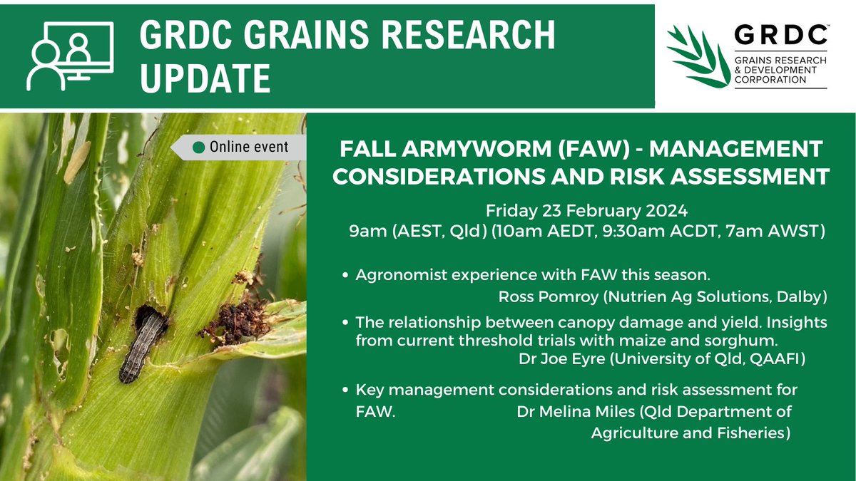 Join us this Friday 23 Feb at 9am AEST (QLD) (10am NSW) for a Grains Research Update online on Fall armyworm (FAW) with <a href="/beatsheetblog/">The Beatsheet Blog</a> <a href="/bugner35/">Joe Eyre</a> &amp; <a href="/ross_pomroy/">Ross Pomroy</a>
Register here: bit.ly/4bGOcvO #GRDCUpdates #FAW