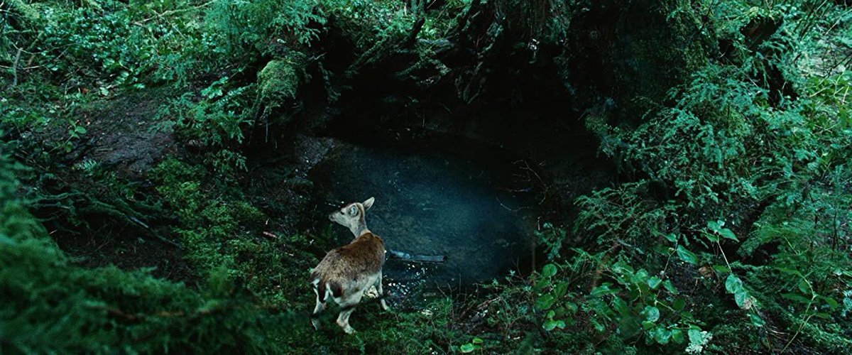 TheCinesthetic's tweet image. twilight (2008) dir. catherine hardwicke