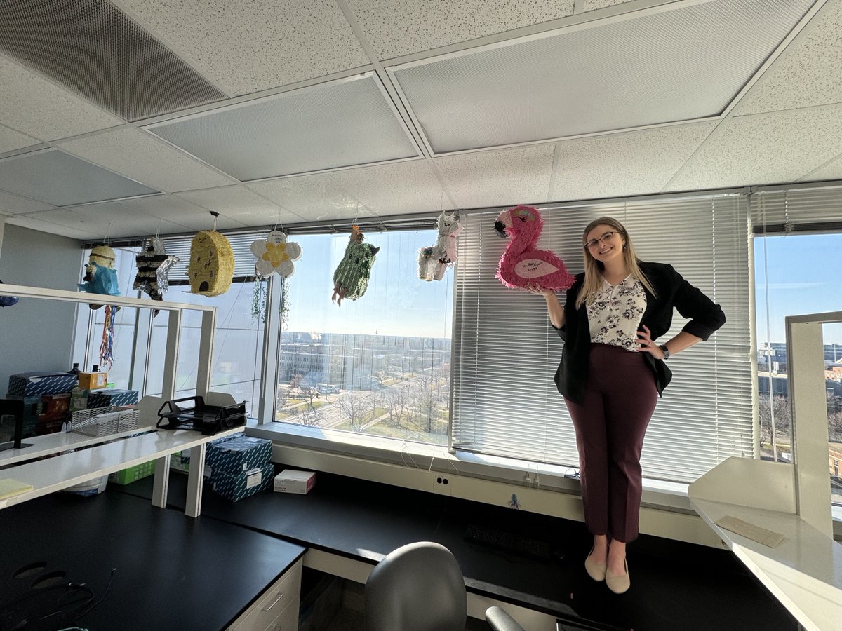Introducing the newest ShadeLab PhD, DR @AbbySulesky , who proudly continued our piñata tradition! Abby's research investigated the assembly & stress responses of the common #bean #microbiome, including seed & rhizosphere @USDA_NIFA @MSU_PRI @MSUMGI @EEB_MSU @ecomicrolyon