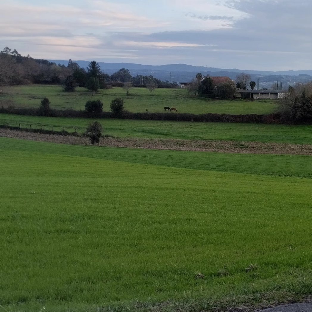 Meu País, de Estrelas e Sereas é meu País <a href="/ruxeruxe/">ƦƲҲЄ ƦƲҲЄ</a> #Galiza