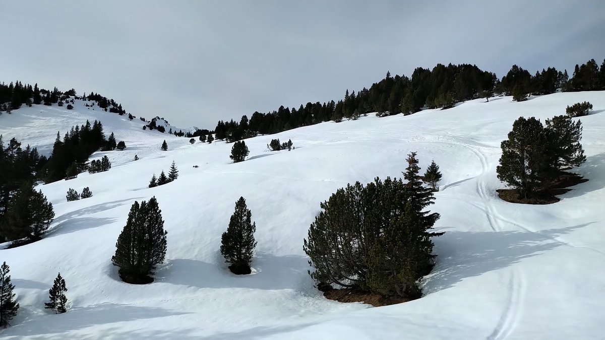 PascalHeyman's tweet photo. #Malbun, a small ❄️ ☀️ ⛷️ 🏂 🚸 paradise amidst the #Liechtenstein 🇱🇮 Alps, perfect for families and kids. @LI_Travel https://t.co/E90BaYJf8p