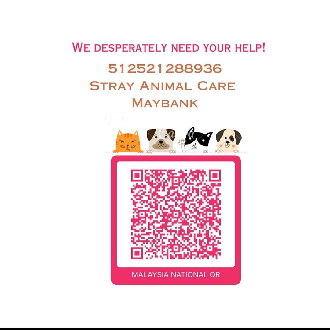 samantha_cavill's tweet photo. 🆘🆘🆘 Shelter kampung kat Semenyih ni tgh cari dana guys untk buat drainage supaya tak banjir setiap kali hujan. Kesian sgt dgn doggos situ, setiap kali hujan, jadi banjir😔 they recently lost a puppy sbb air naik. Ada contractor yg blh bantu mereka tak?
Pls help donate/share https://t.co/QMOfrpzETN